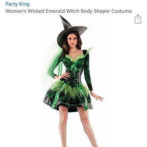 Party King wicked witch of the west costume